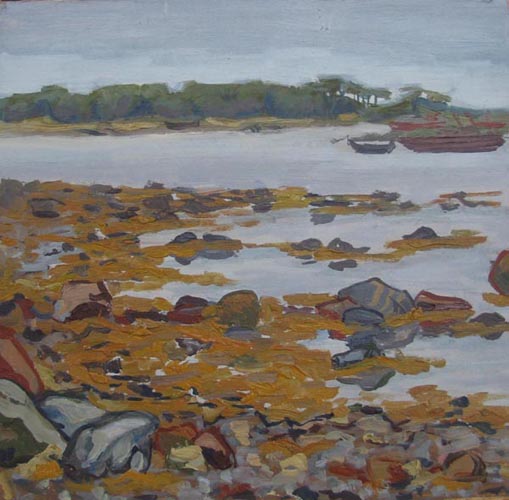 Solovki (Solovetsky islands). Low-tide, 2002